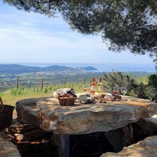 Chercher un bon artisan dans le Var