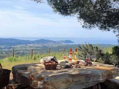Balades degustation varbike avec guide