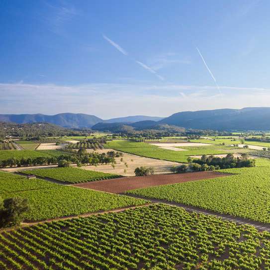 marché provençal de gareoult