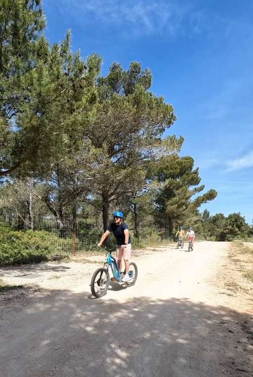 piquenique varbike the must