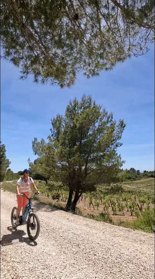 Chercher un bon artisan dans le Var