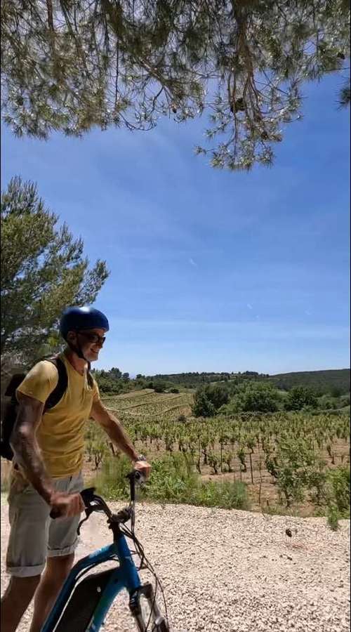 piquenique varbike the must